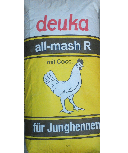 Junghennenfutter